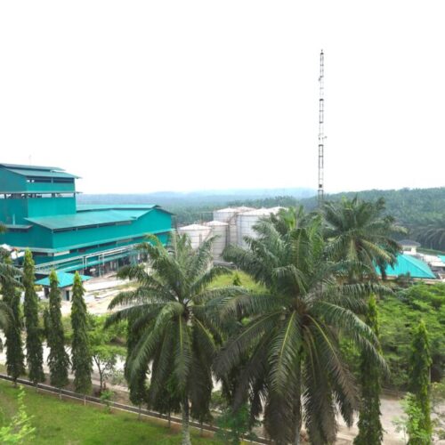 galeri cakra alam sejati (7) galeri cakra alam sejati (7)